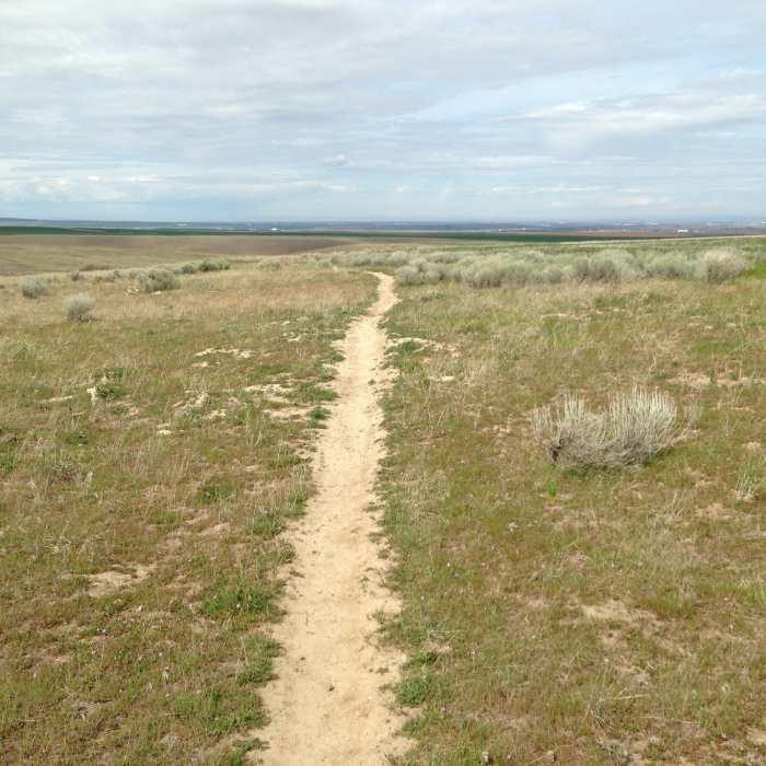 Near C Trail