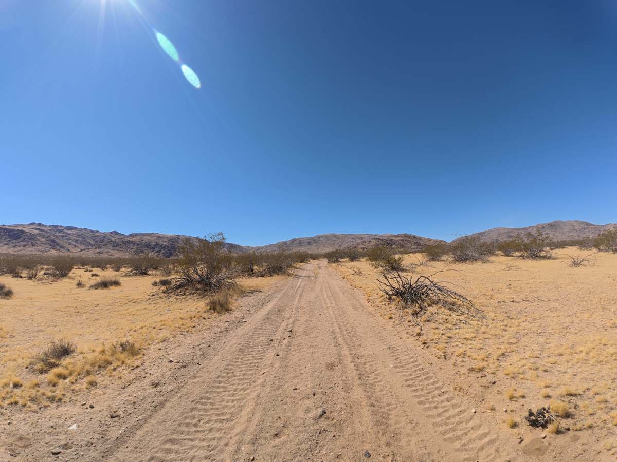 BLM SV2674 photo 5