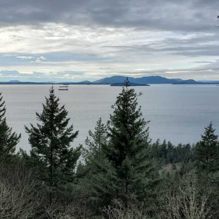Near Ocean Viewpoint Spur