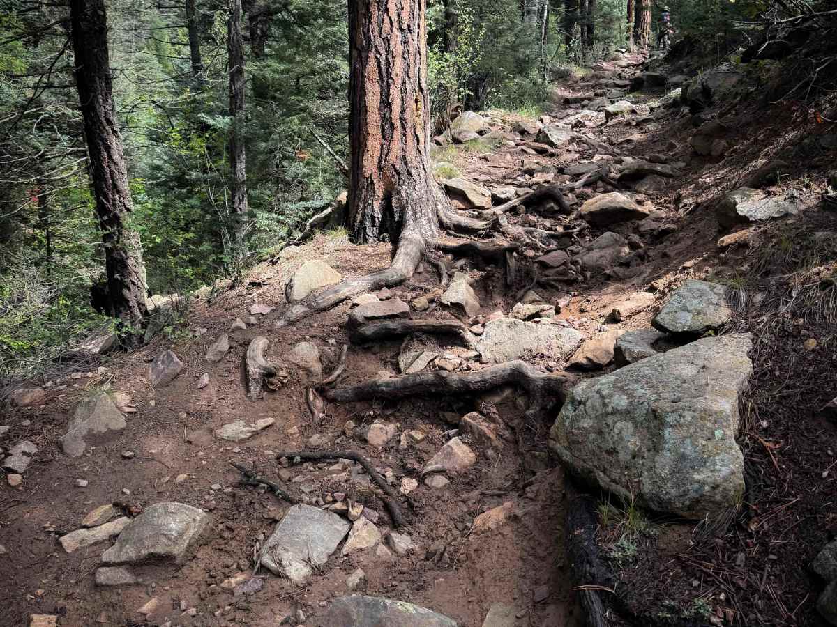 Maes Canyon Trail - FS 5 trail photo