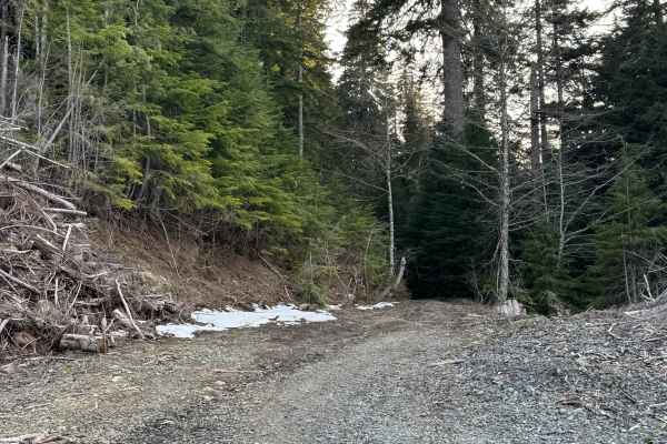Newaukum Lake Road - FS 7100115