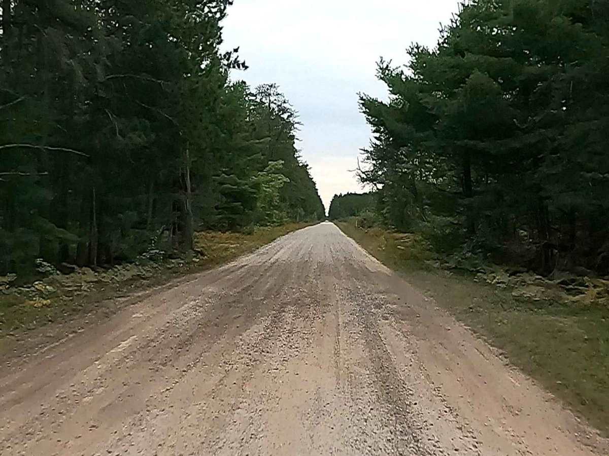 Old Brimley Grade - FS 3153 photo 6