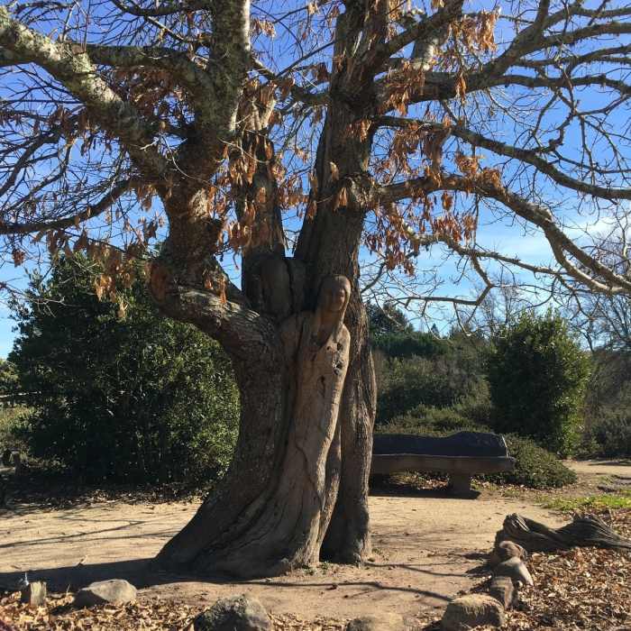 This beautiful Peace Garden sculpture is located right off the Blackberry Trail near the parking area. Near Blackberry Trail