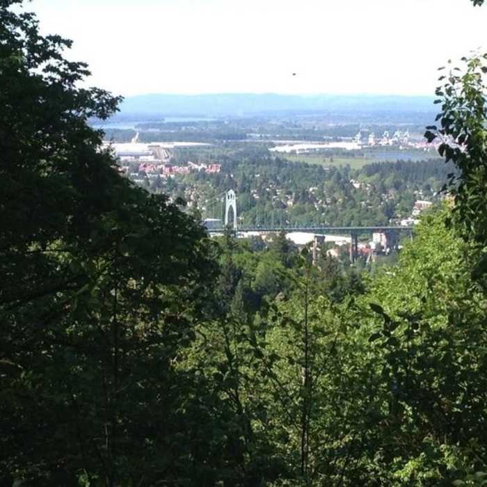 Near Maple Trail