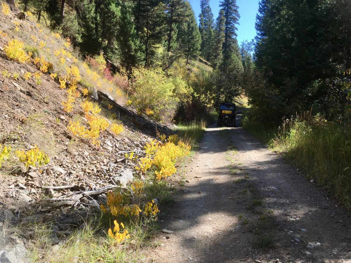 Overwhich Road - FS 5703 photo 6