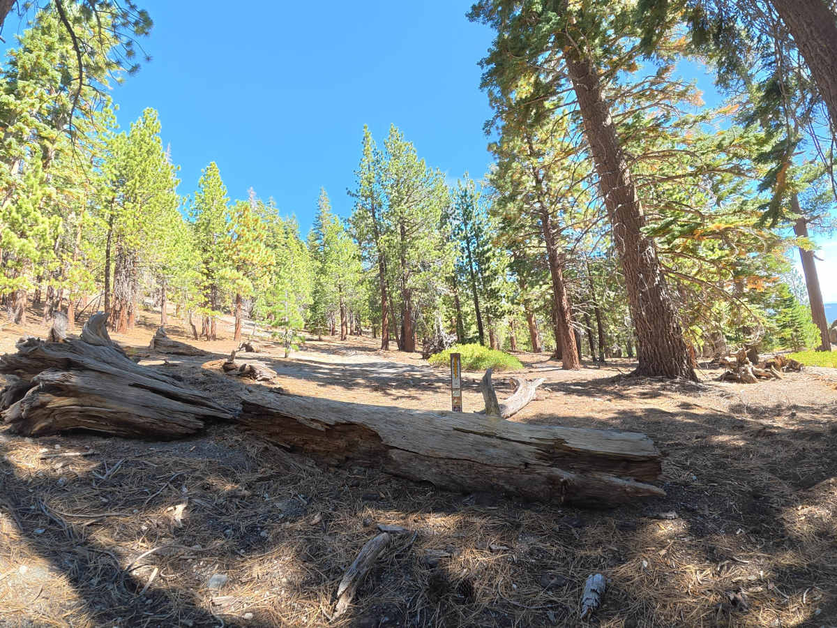 FS 3S102 trail photo
