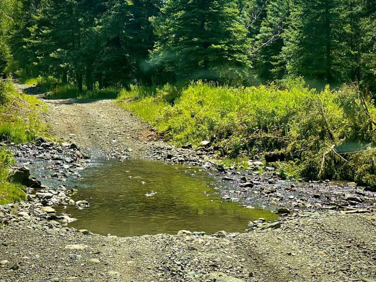 Lower Section of East Fork San Juan River Rd-Fr 667 photo 3