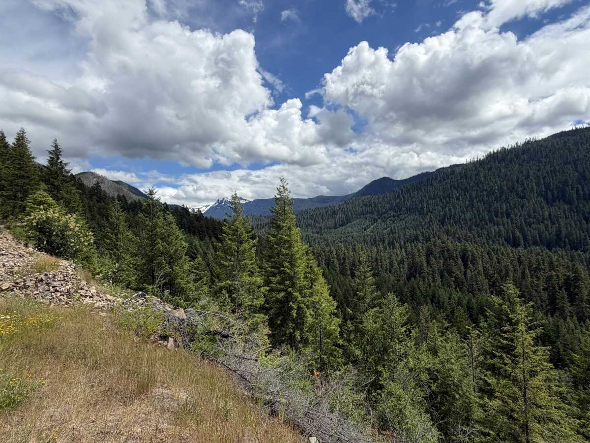 Lake Creek - FS 1266000 photo 3