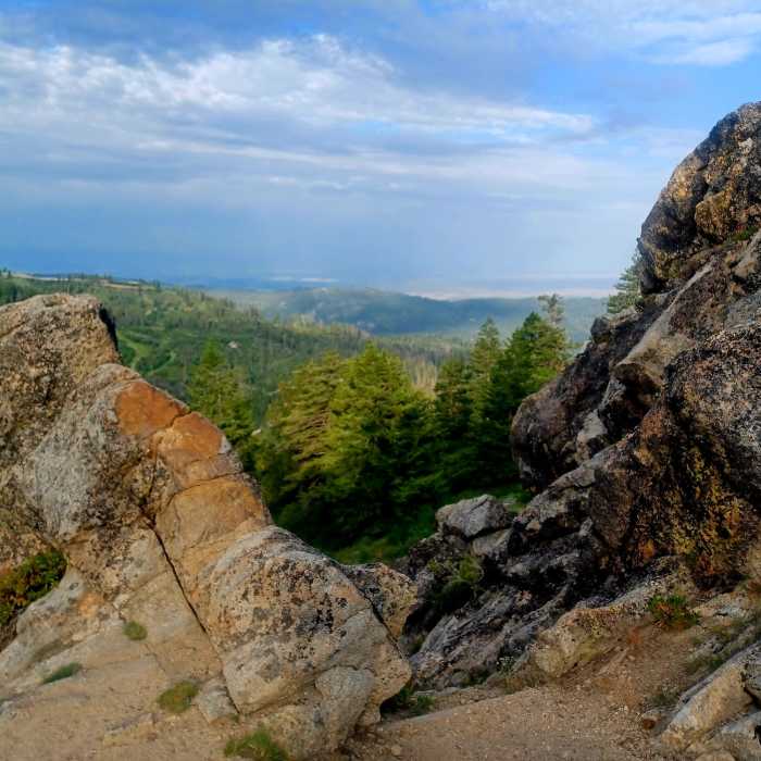 Near Mores Mountain Trail