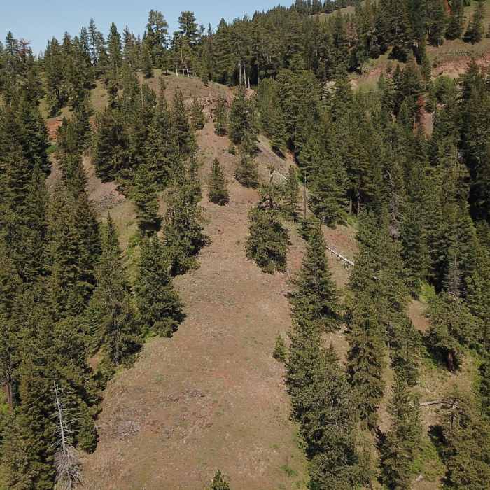 Near Tiger Creek