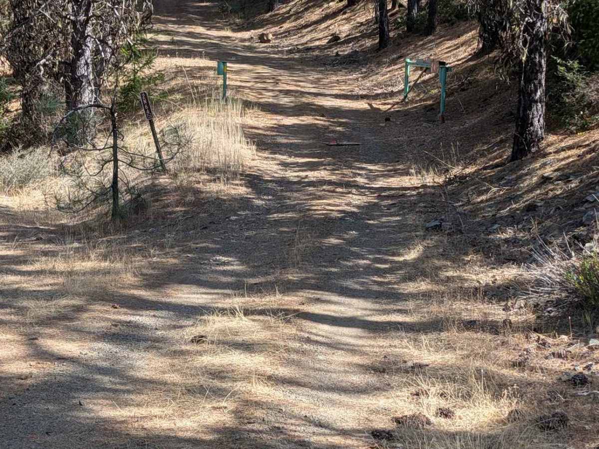 West Oak Road - FS 2N64 trail photo