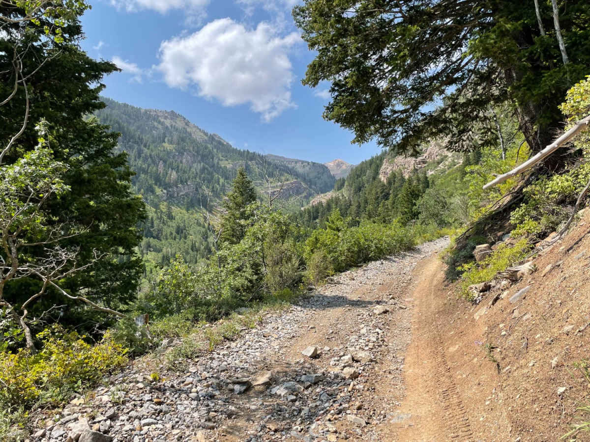 Mary Ellen Gulch trail photo