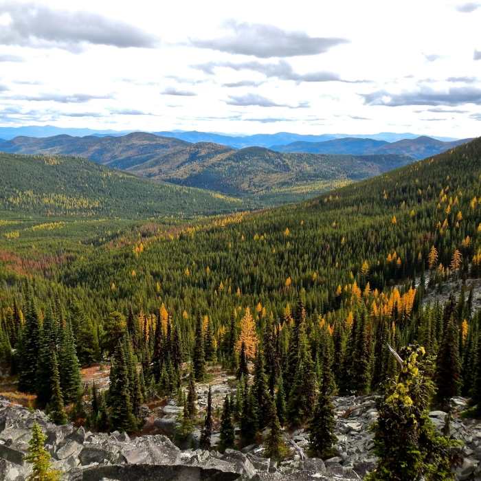 Near Kettle Crest North Trail #13