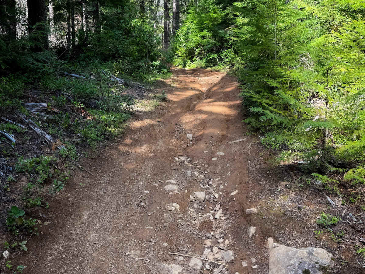 107 (South)  photo 6