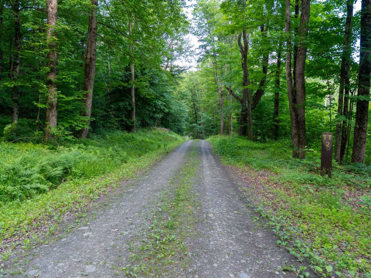 Truck Trail 2 photo 5