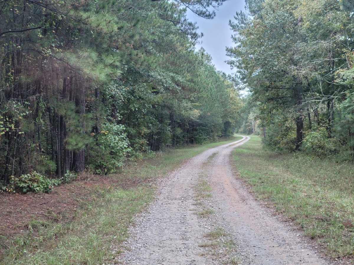 Turner Trail photo 6