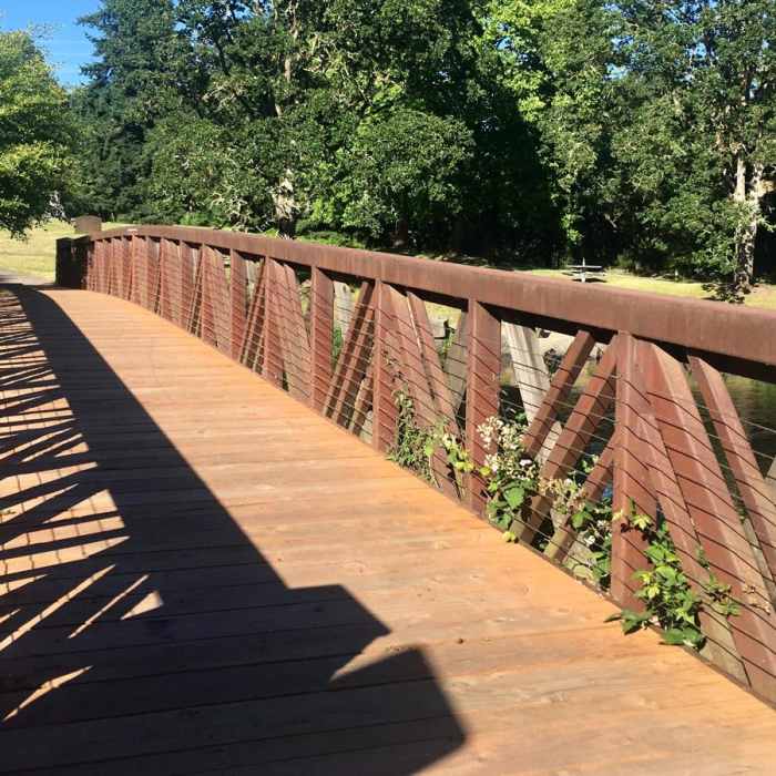 Near Waverly Lake Loop