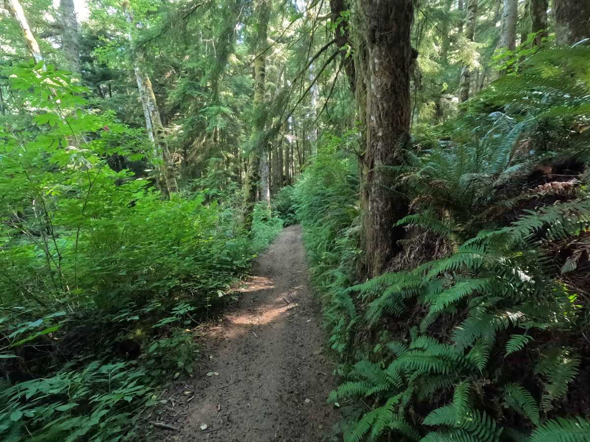 Sadie Creek Trail photo 4