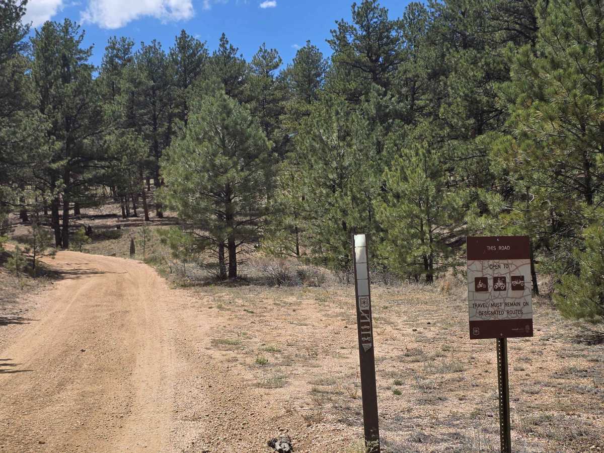 Fish Creek Road - FS 877 photo 4