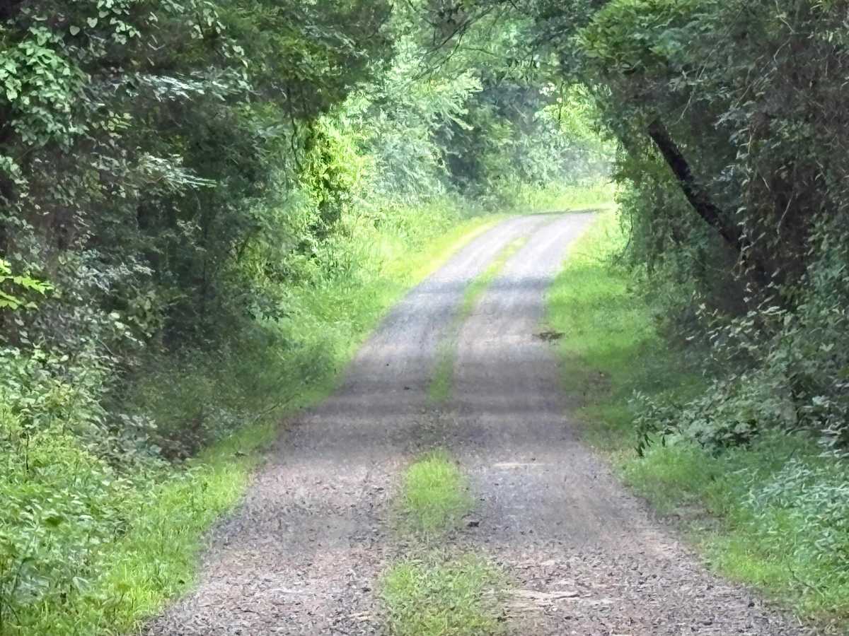 Lower Haw Creek Road photo 4