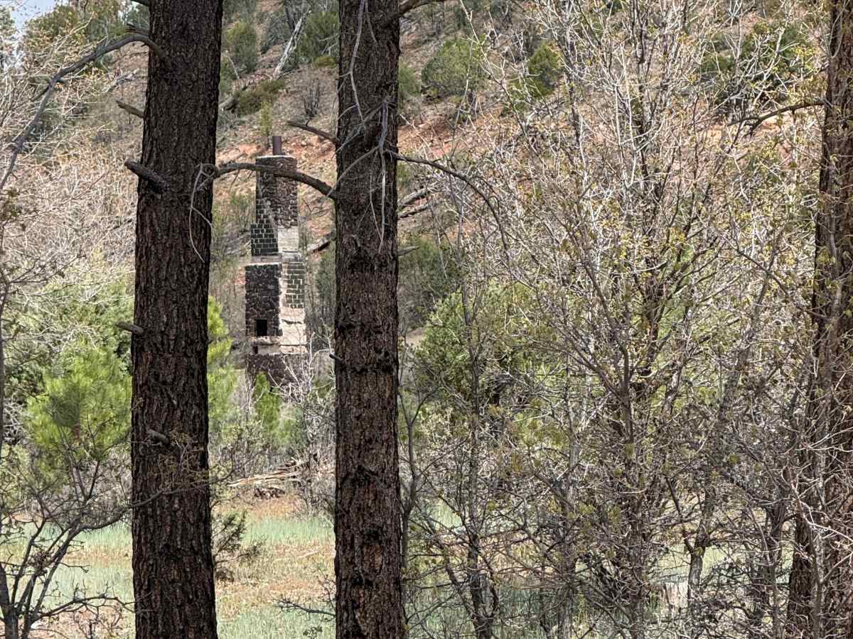 Bear Canyon - FS 131 photo 2
