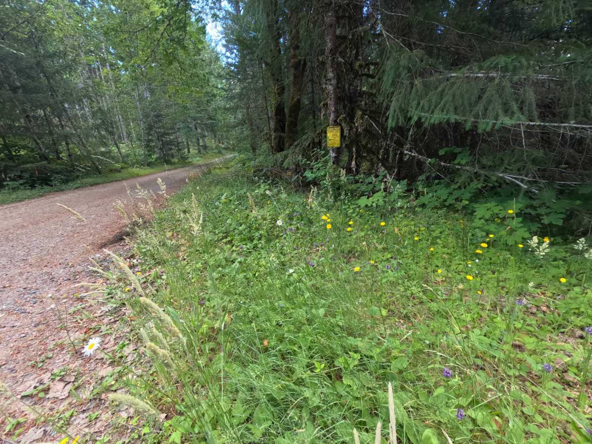 Lake Creek - FS 1266000 photo 5