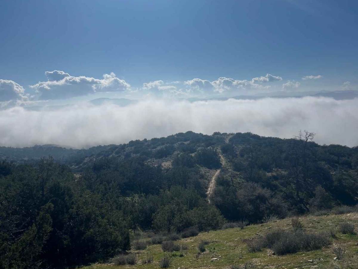Trail 29 photo 5