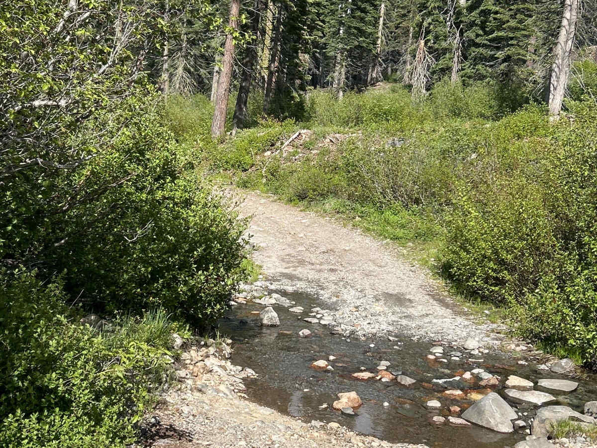 Soda Springs Road photo 3