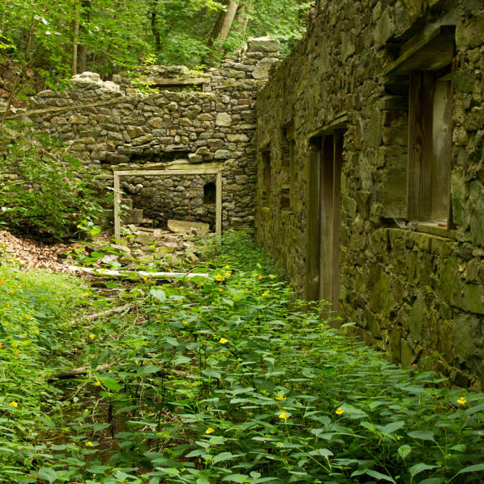 A peek into the Colonial Springs Water Bottling Plant. Near Horse-Shoe Trail