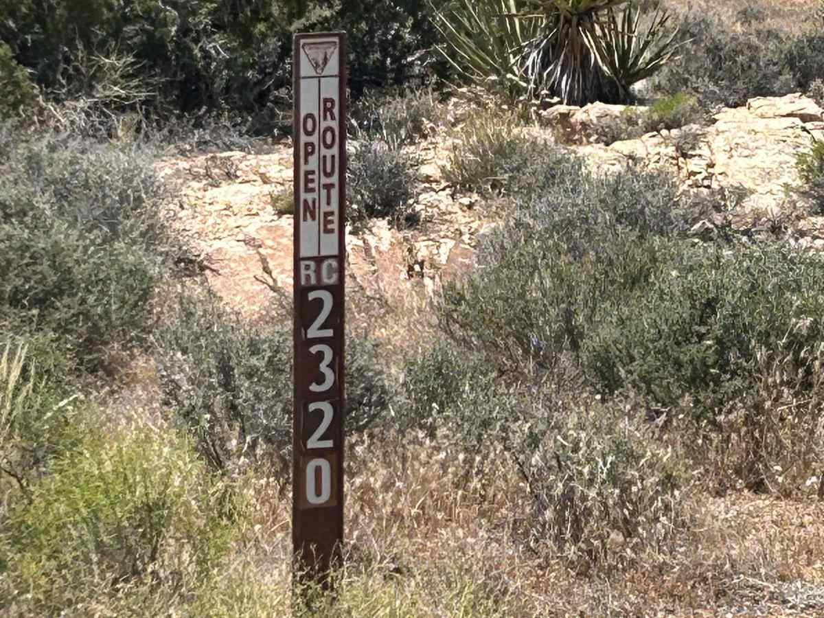 The Buzz Route - BLM 2320 trail photo