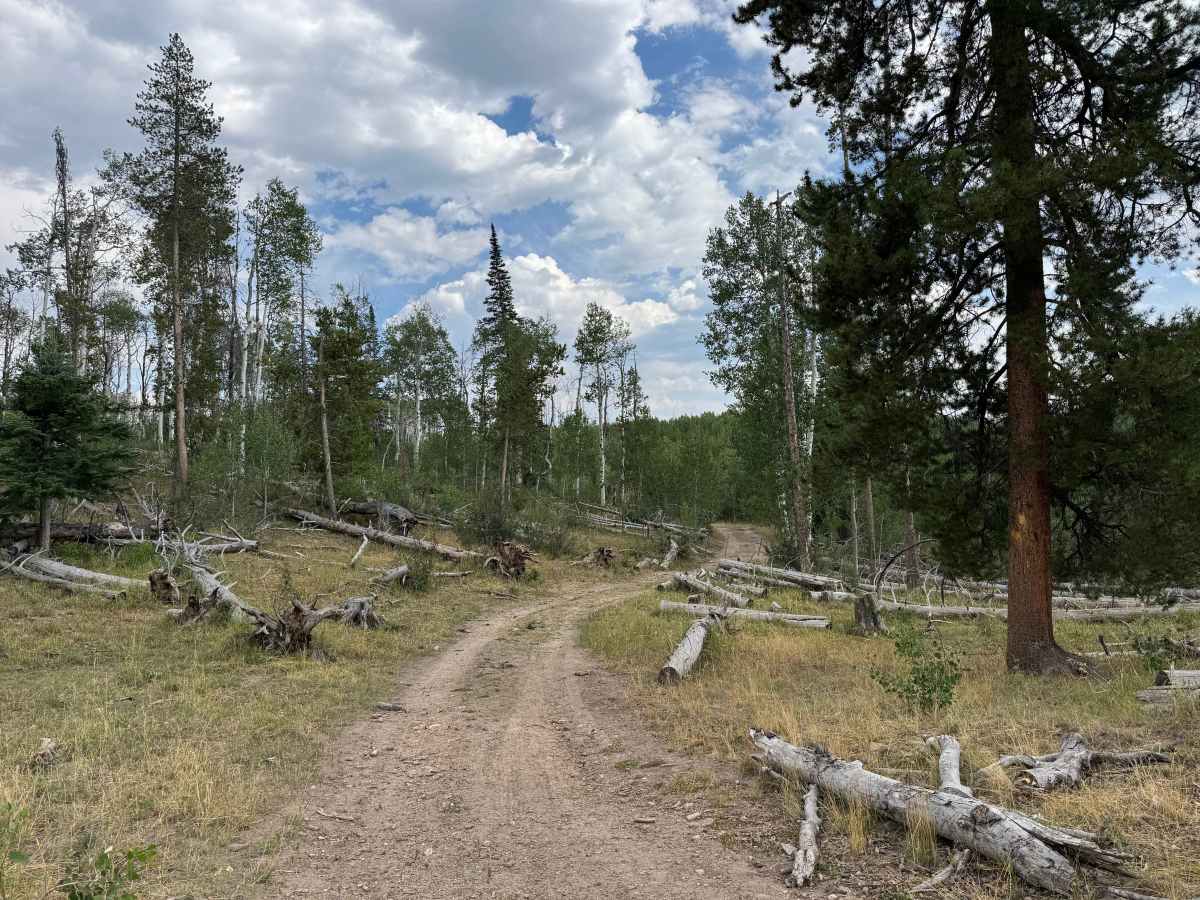 Long Draw Road photo 2