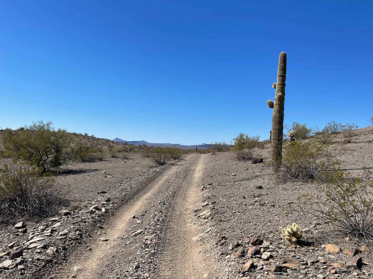 A Loop Into the Desert photo 4