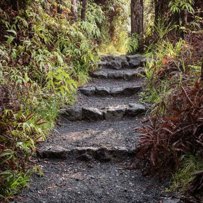 Near Kilauea Iki Crater Loop Near Kilauea Iki Crater Loop