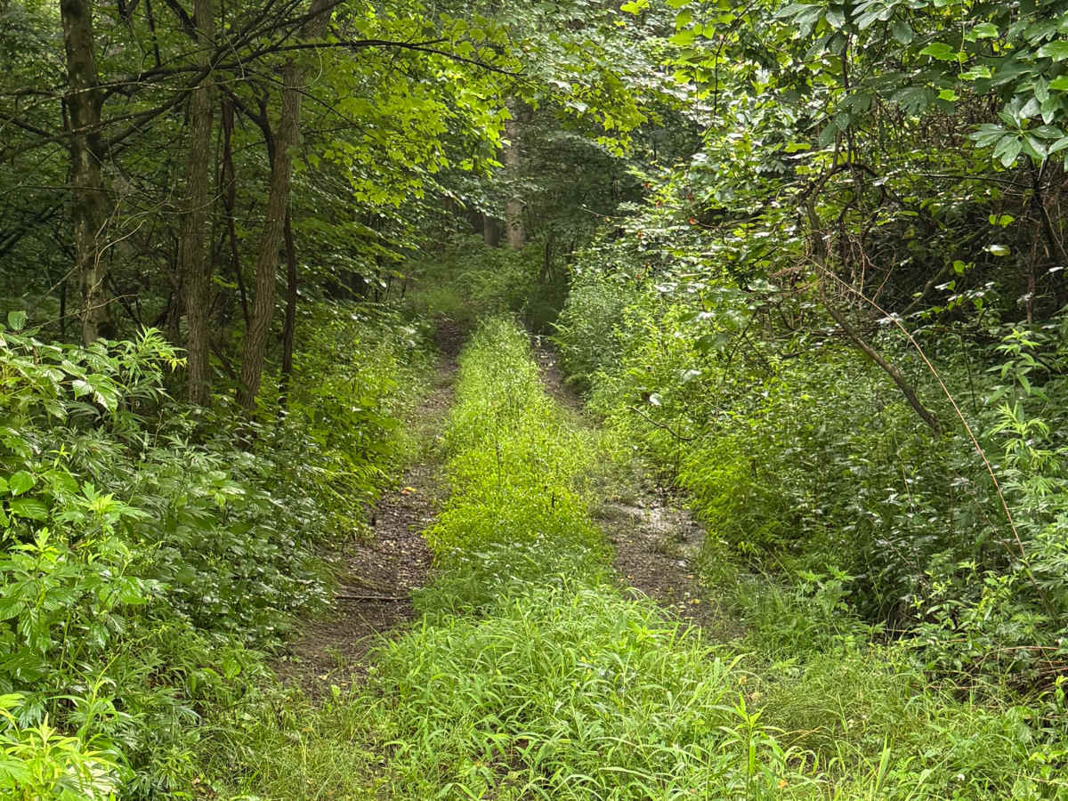 Trail 47 photo 2