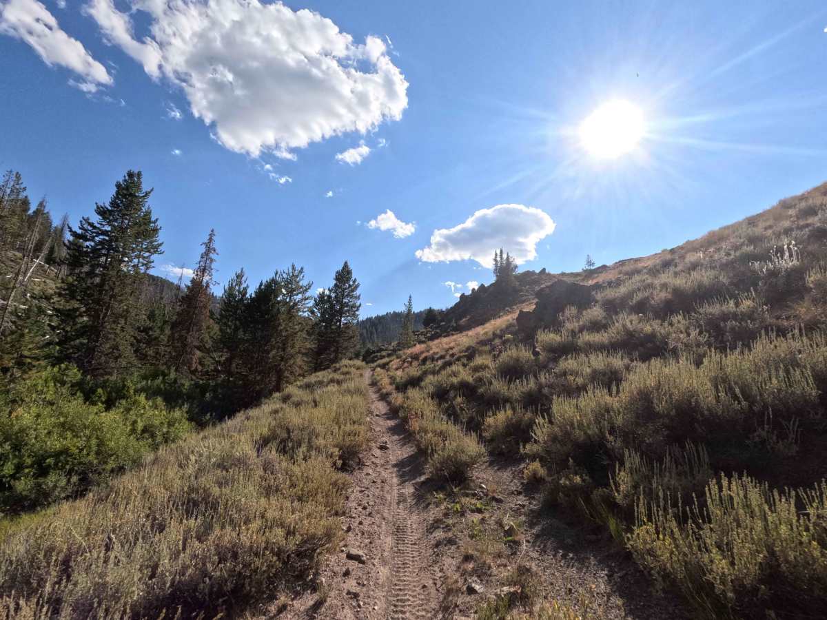Middle Fork Warm Springs - FS 7150 photo 4