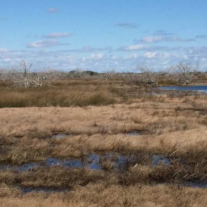 Near Cape Hatteras Point Loop