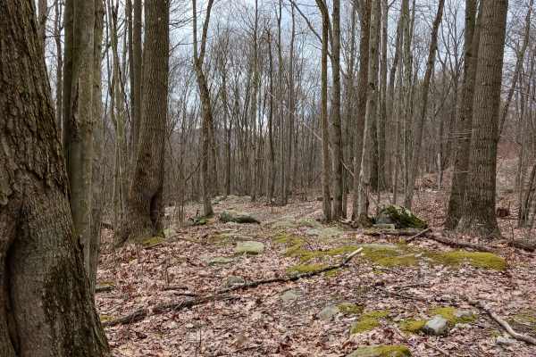 OHV 60 - Rock Run Recreation Area