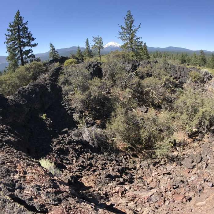 Near Hat Creek Spattercone Trail