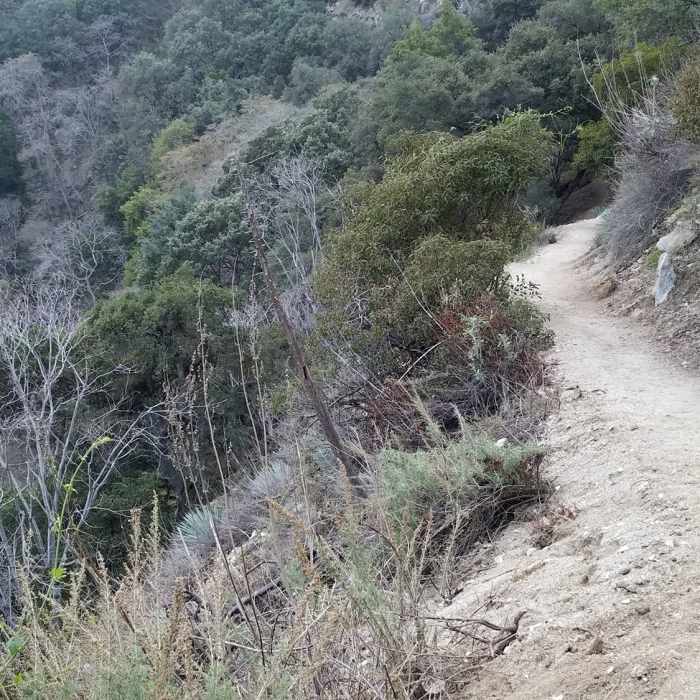 Near Hermit Falls Trail
