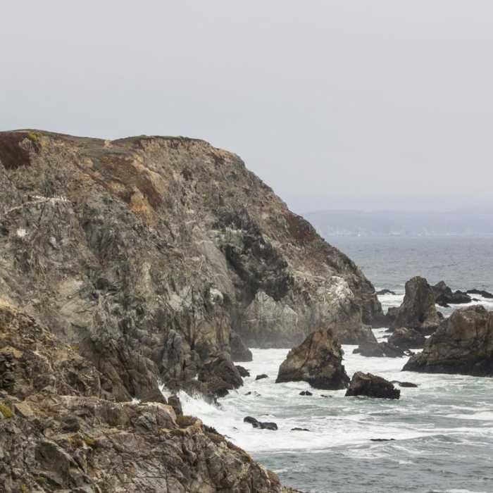 Near Bodega Head Nature Trail