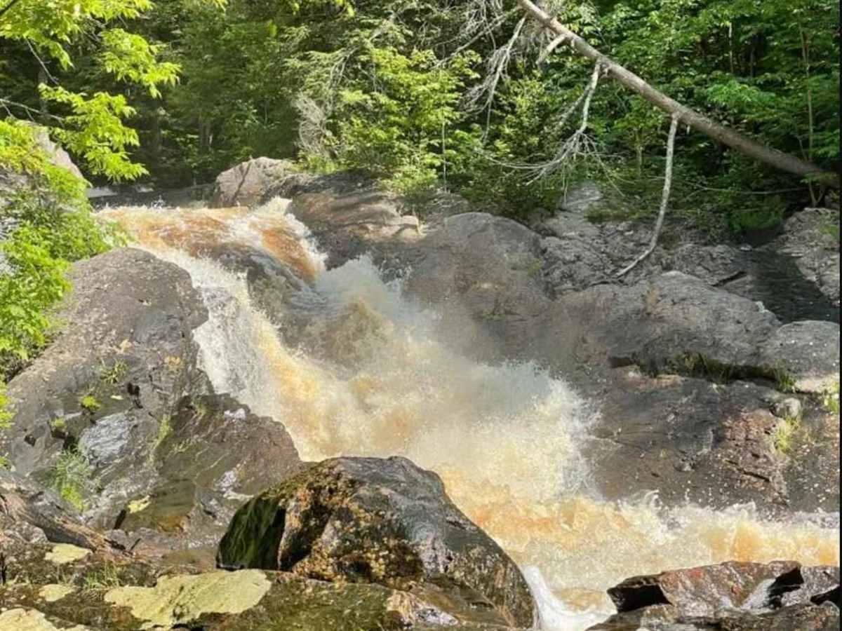 Donnerville Road trail photo