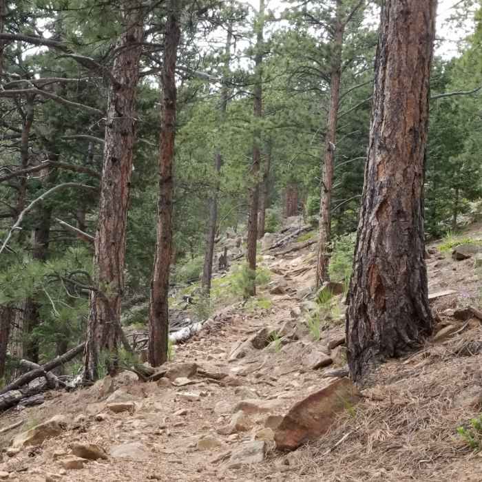 Near St. Mary Falls Trail (#624)