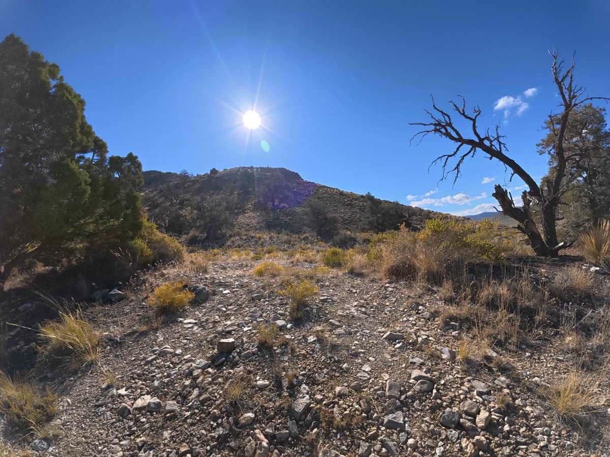 Cowhorn Hill photo 3