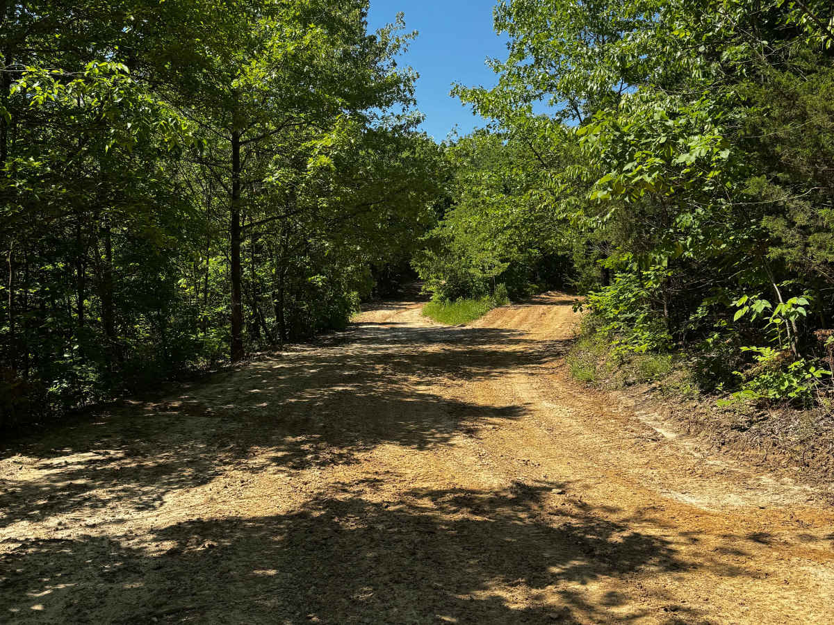 Inner Track 1 trail photo