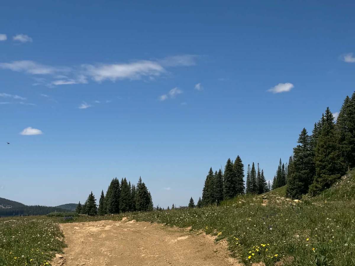 Blue Lake Trail photo 4