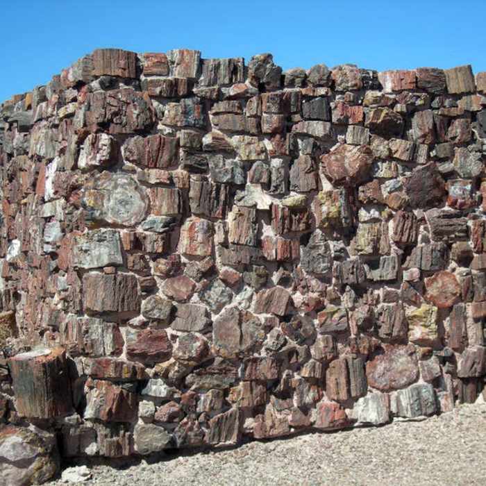 Near Agate House Trail