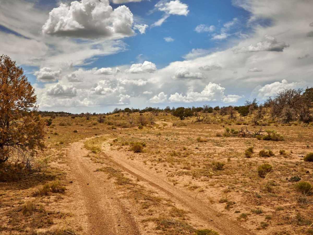 FR 2763 trail photo