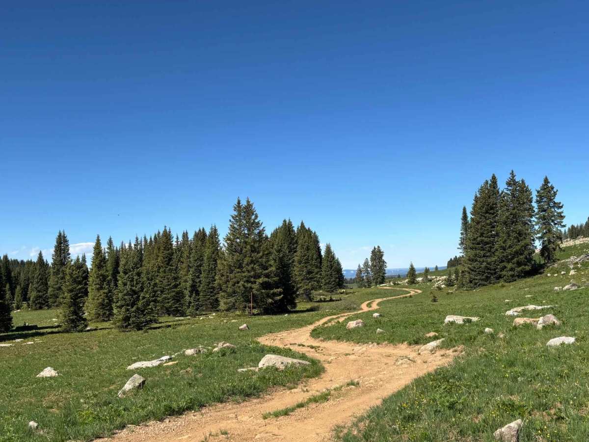 Cow Lake Road photo 6