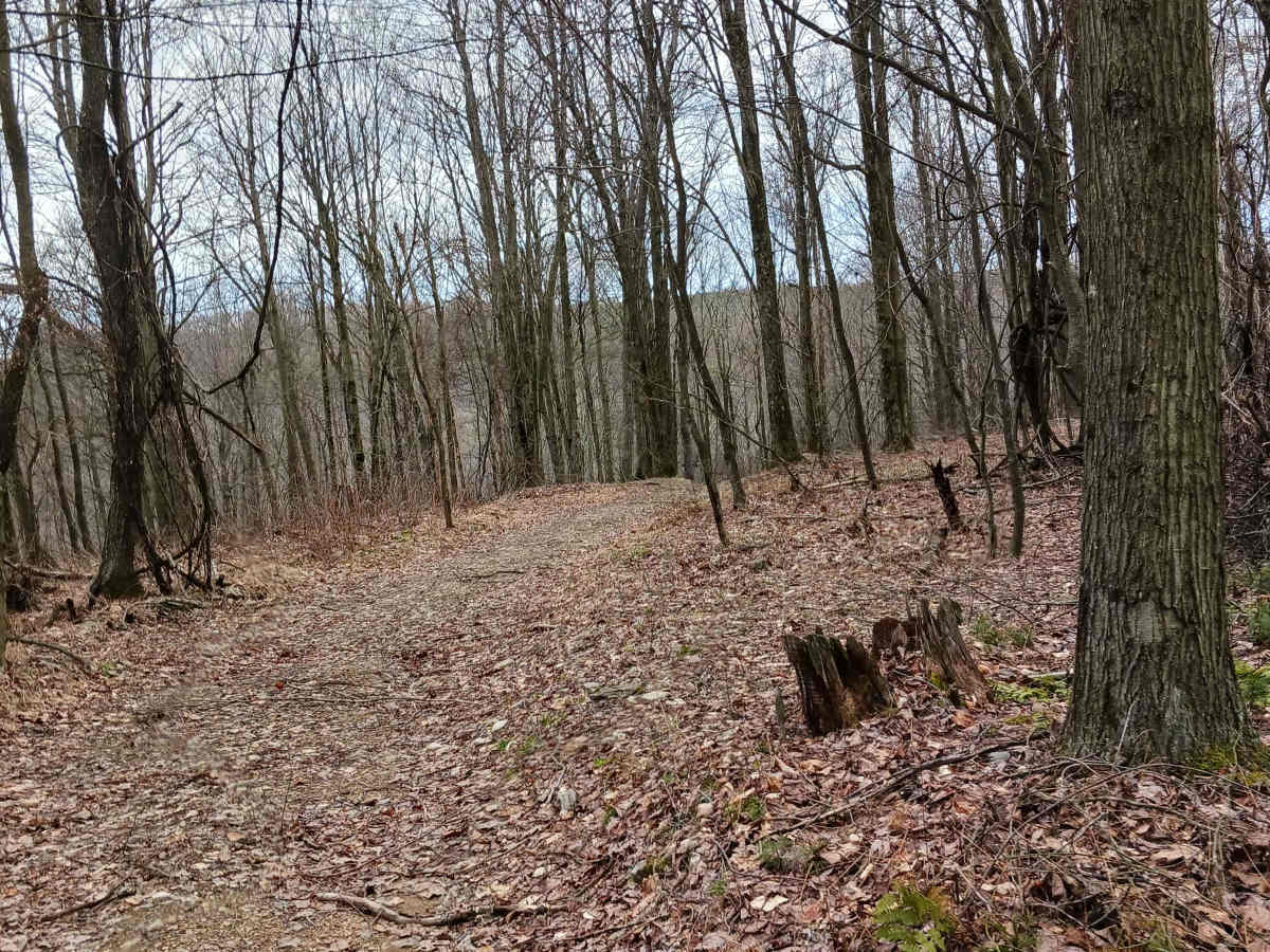 Trail 15 - Rock Run Recreation Area photo 3