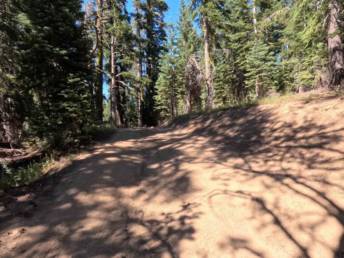 Tamarack Road - FS 31097 photo 3